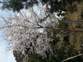 20130326_131518.jpg